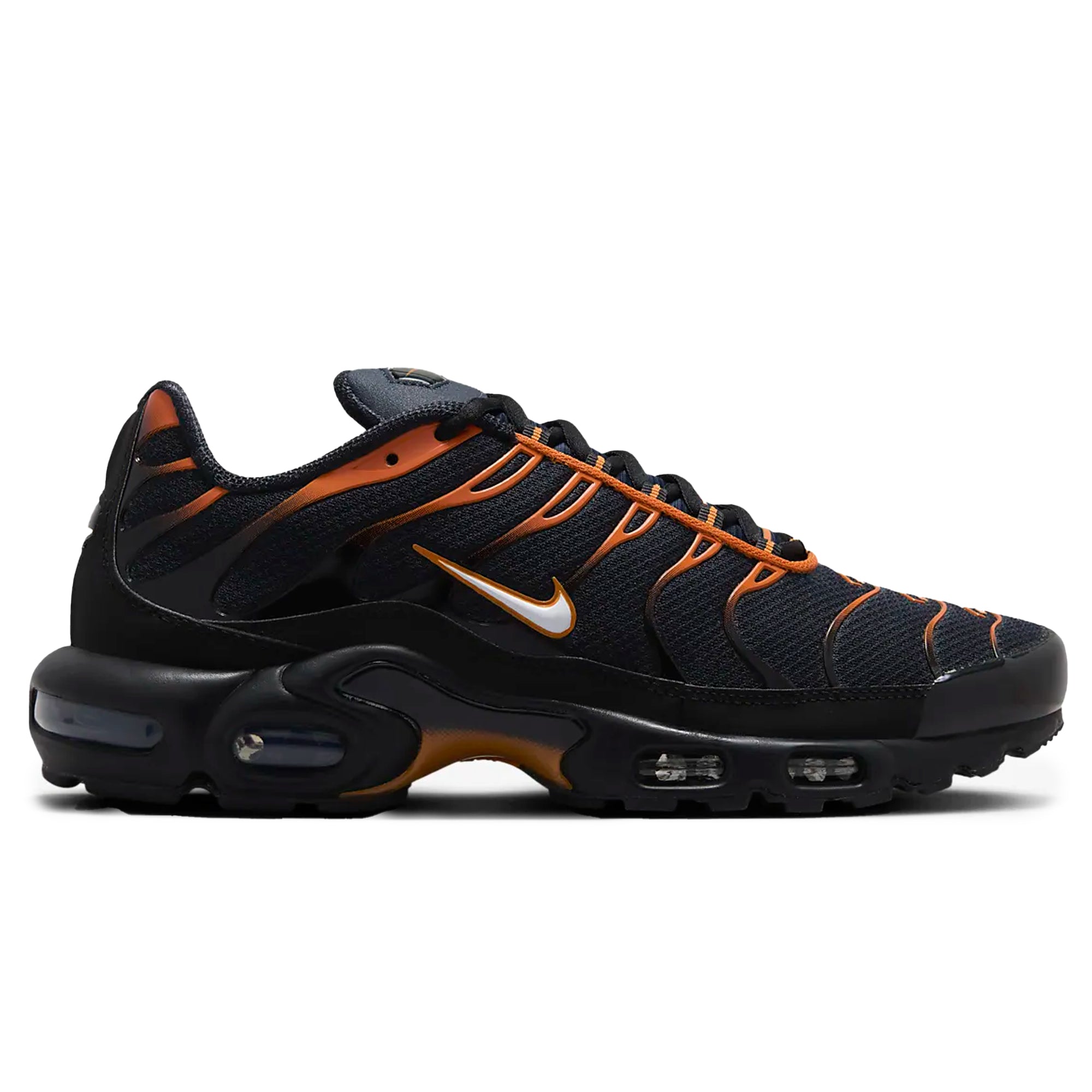 Air Max Plus TN Dark Obsidian Monarch